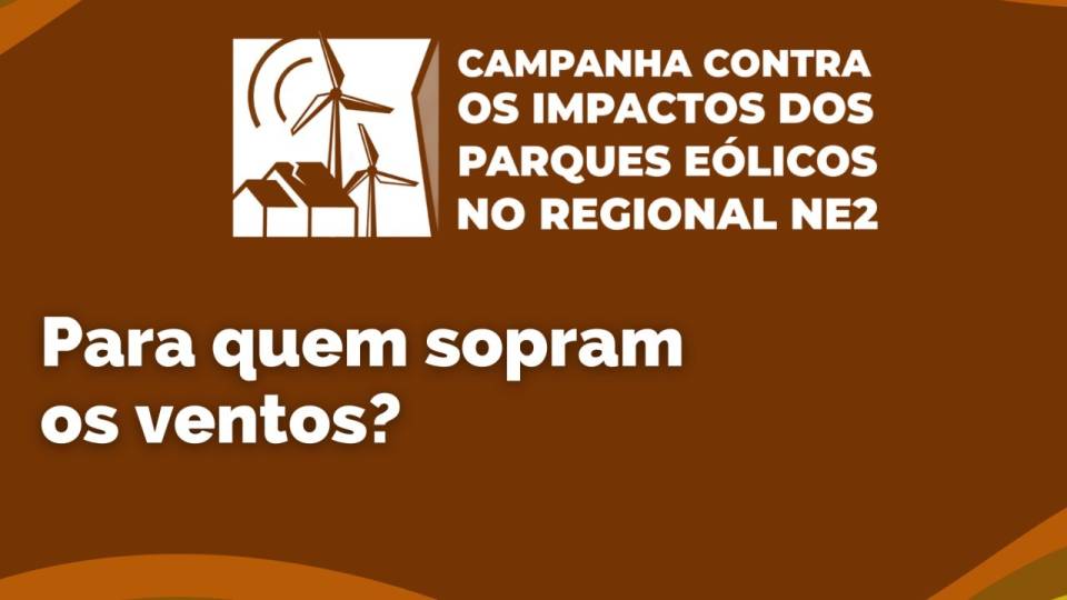 Contra os impactos dos parques eólicos no Nordeste